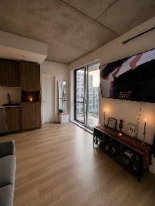 Studio 1220$/ Métro Cartier - Photo 6