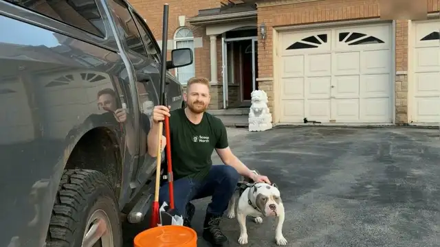 Pooper Scooper Service - Dog Waste Removal - First Cleanup FREE