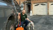 Pooper Scooper Service - Dog Waste Removal - First Cleanup FREE