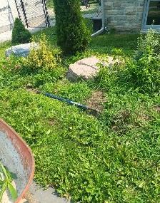 Offering quality Landscaping & Genral labour - Photo 2