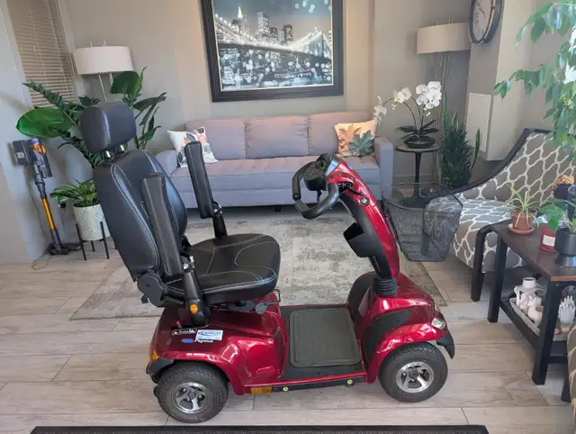 Pegasus Electric Scotter