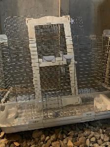 3 Beautiful Conair birds