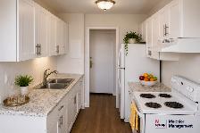 FIELDCREST APARTMENTS - 1 & 2 Bdrm Suites for September - Photo 3