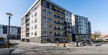 2 bedroom 2 bathroom apt for rent near Waterloo University - Photo 6