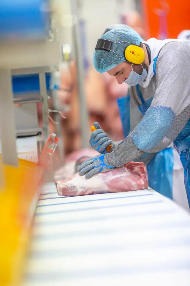 NOUS EMBAUCHONS — DÉSOSSEURS DE PORC /  HIRING — PORC DEBONERS