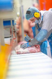 NOUS EMBAUCHONS — DÉSOSSEURS DE PORC /  HIRING — PORC DEBONERS
