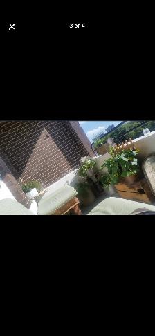 1 Bedroom Apartment to Rent in Osborne Village - Photo 5