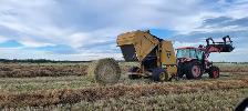 bales for sale