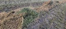 bales for sale - Photo 2
