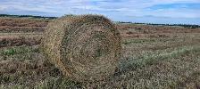 bales for sale - Photo 3