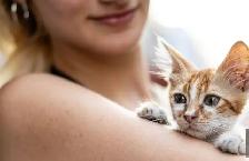 Reliable Pet Sitting | Dog Walking | Training and More! - Photo 7