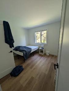 Weekly Rental - Terrace - Photo 10
