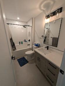 Weekly Rental - Terrace - Photo 15