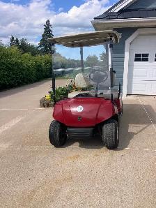 2011 Yamaha Gas Golf Cart - Photo 2