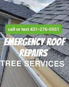JUNK REMOVAL , ROOFING, EAVES CLEANING AND MORE 431-276-0551 - Photo 2