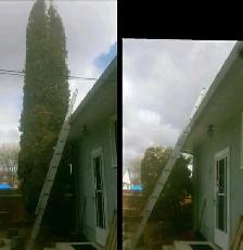 JUNK REMOVAL , ROOFING, EAVES CLEANING AND MORE 431-276-0551 - Photo 6