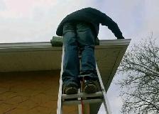 JUNK REMOVAL , ROOFING, EAVES CLEANING AND MORE 431-276-0551 - Photo 8