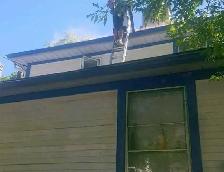 JUNK REMOVAL , ROOFING, EAVES CLEANING AND MORE 431-276-0551 - Photo 9
