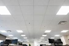 Acoustic Ceiling Tile Install - Photo 2