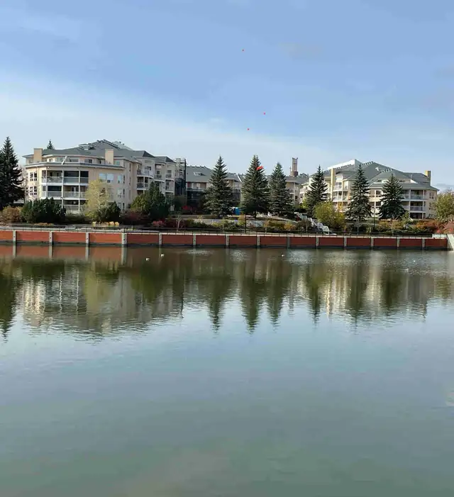 Lakeview 2 Bed 2 Bath Condo