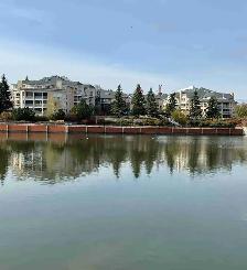 Lakeview 2 Bed 2 Bath Condo