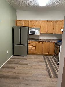 Lakeview 2 Bed 2 Bath Condo - Photo 3