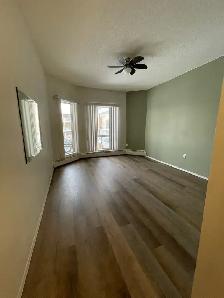 Lakeview 2 Bed 2 Bath Condo - Photo 8