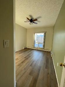 Lakeview 2 Bed 2 Bath Condo - Photo 9