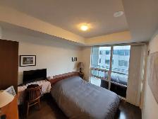 Large 2 Bdrm/2 Bath Condo For Rent @ 460 Adelaide / St Lawrence - Photo 2