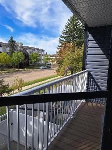 RENOVATED 3 BEDROOM   DEN TOWNHOUSE | 2 PARKING STALLS | FENCED - Photo 9
