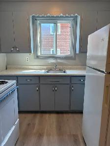 Bright 2 Bedroom Apartment in Belleville