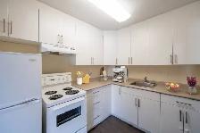 Bachelor Suites Available near University of Manitoba - Photo 2
