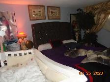 2 Bedrm, Utilities Included $2,200/mth Renaud Road - Photo 3