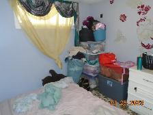 2 Bedrm, Utilities Included $2,200/mth Renaud Road - Photo 4