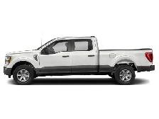 2023 Ford F-150 XLT - Photo 2