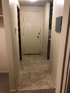Beautiful 2 Bedroom spacious suite- Cat friendly - Photo 4