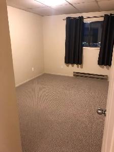 Beautiful 2 Bedroom spacious suite- Cat friendly - Photo 7