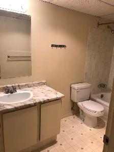 Beautiful 2 Bedroom spacious suite- Cat friendly - Photo 9