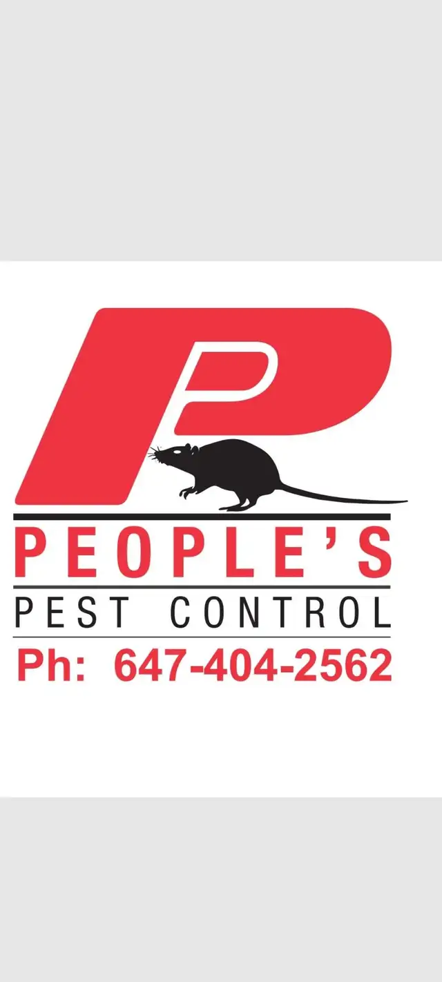 ALL KIND PEST CALL 647 404 2562 PEOPLES PEST AND ANIMAL CONTROL