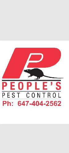 ALL KIND PEST CALL 647 404 2562 PEOPLES PEST AND ANIMAL CONTROL