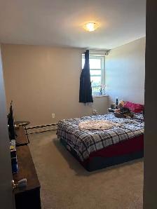 one bedroom one bathroom sublet available September 1st - Photo 4