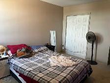 one bedroom one bathroom sublet available September 1st - Photo 5