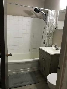 one bedroom one bathroom sublet available September 1st - Photo 7