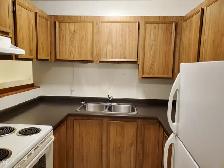 LACOMBE 1 Bedroom Apartment - Photo 2