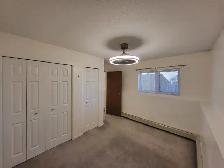 LACOMBE 1 Bedroom Apartment - Photo 3