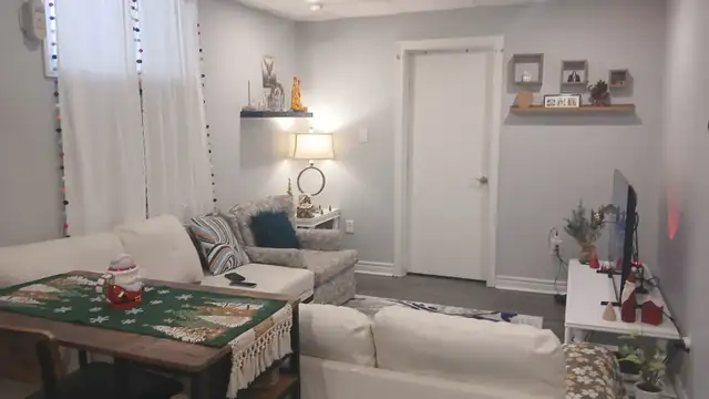 Downtown St Catherines, renovated 2-bedroom