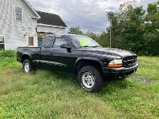 2000 Dodge Dakota - Photo 2