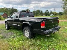 2000 Dodge Dakota - Photo 4