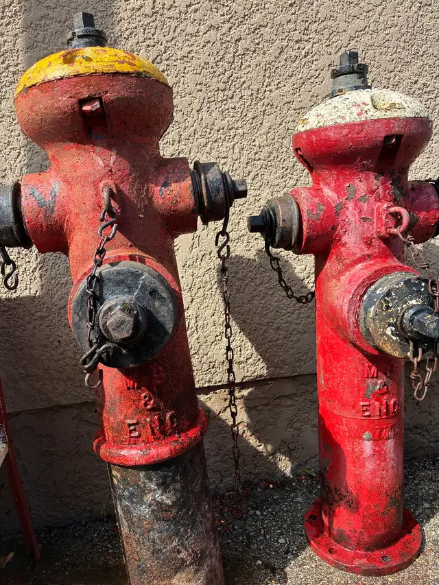ANTIQUE FIRE HYDRANTS TEXT RYAN (204) 781-2890
