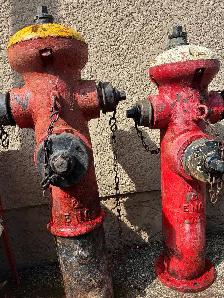 ANTIQUE FIRE HYDRANTS TEXT RYAN (204) 781-2890